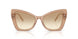 343213 - Brown - Clear Gradient Light Brown