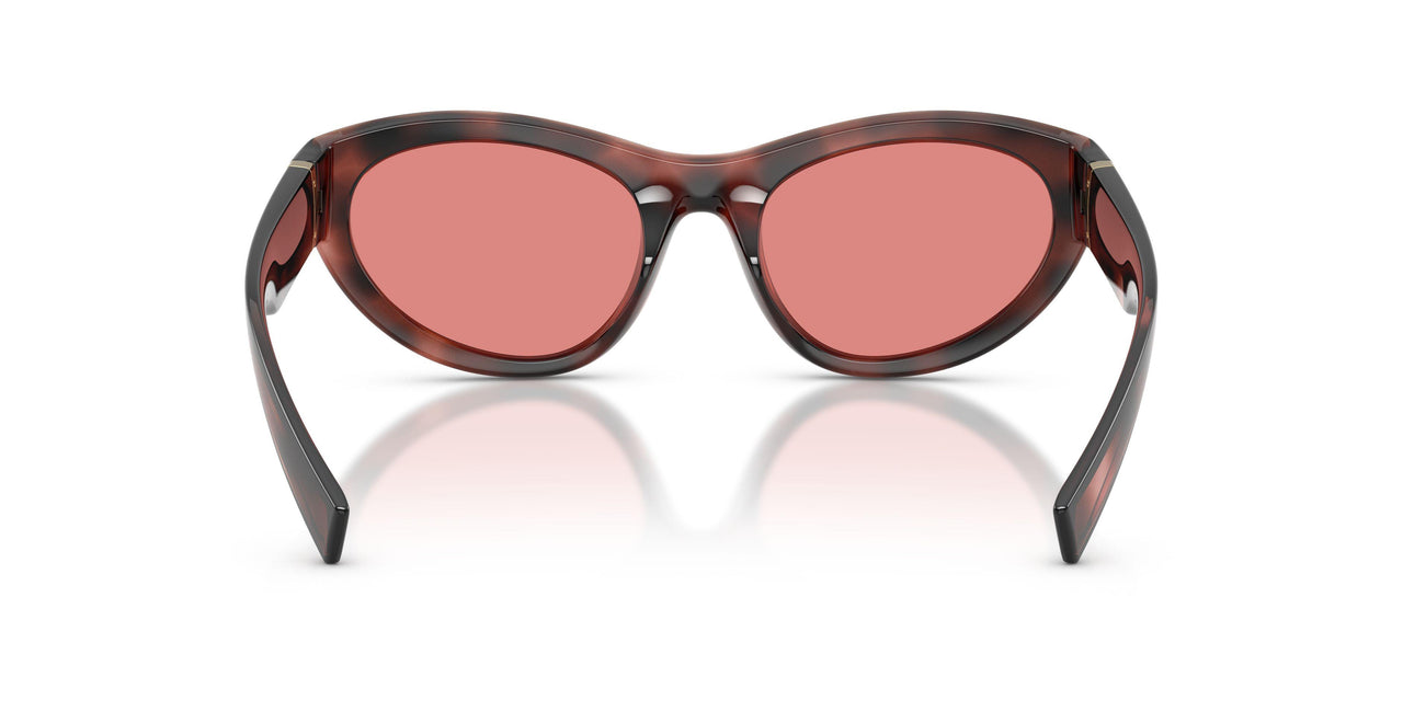 347684 - Tortoise - Pink