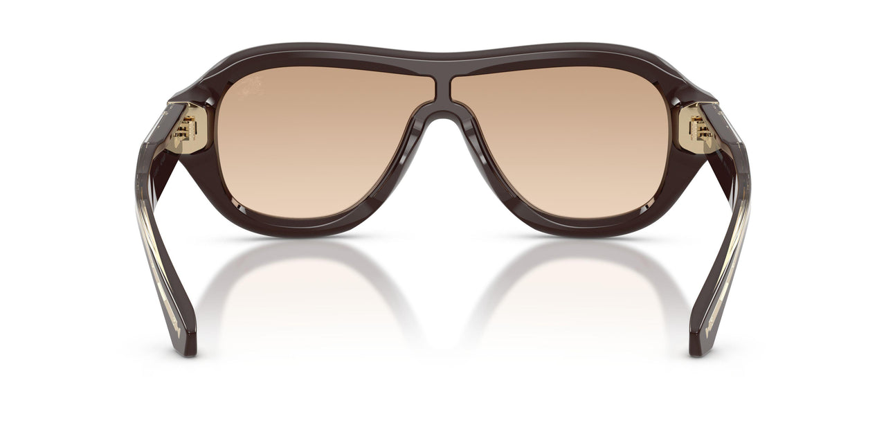 42748D - Brown - Brown Gradient