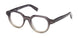 ZEGNA 5303 Eyeglasses