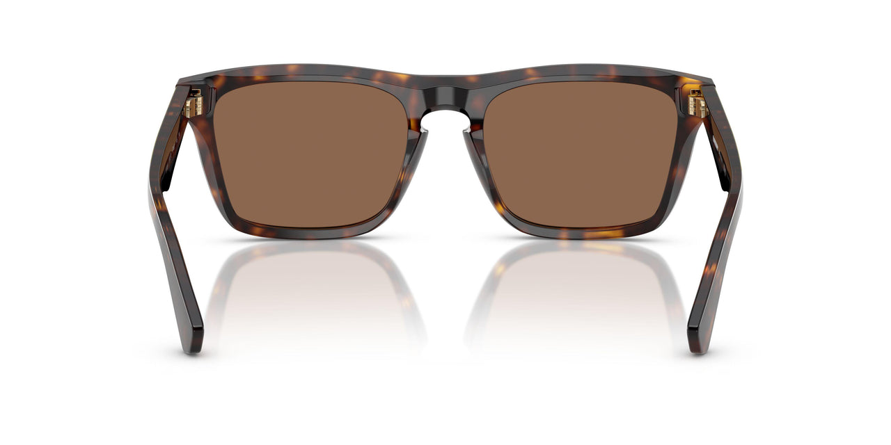 300273 - Brown - Dark Brown