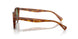 14834E - Tortoise - Vibrant Green