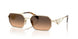 ZVN50C - Gold - Brown Gradient Grey