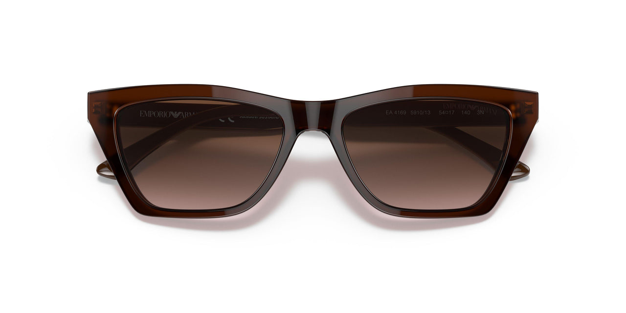 591013 - Brown - Gradient Brown