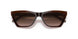 591013 - Brown - Gradient Brown