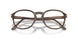 1208 - Tortoise - Clear