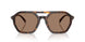 300673 - Tortoise - Brown Solid