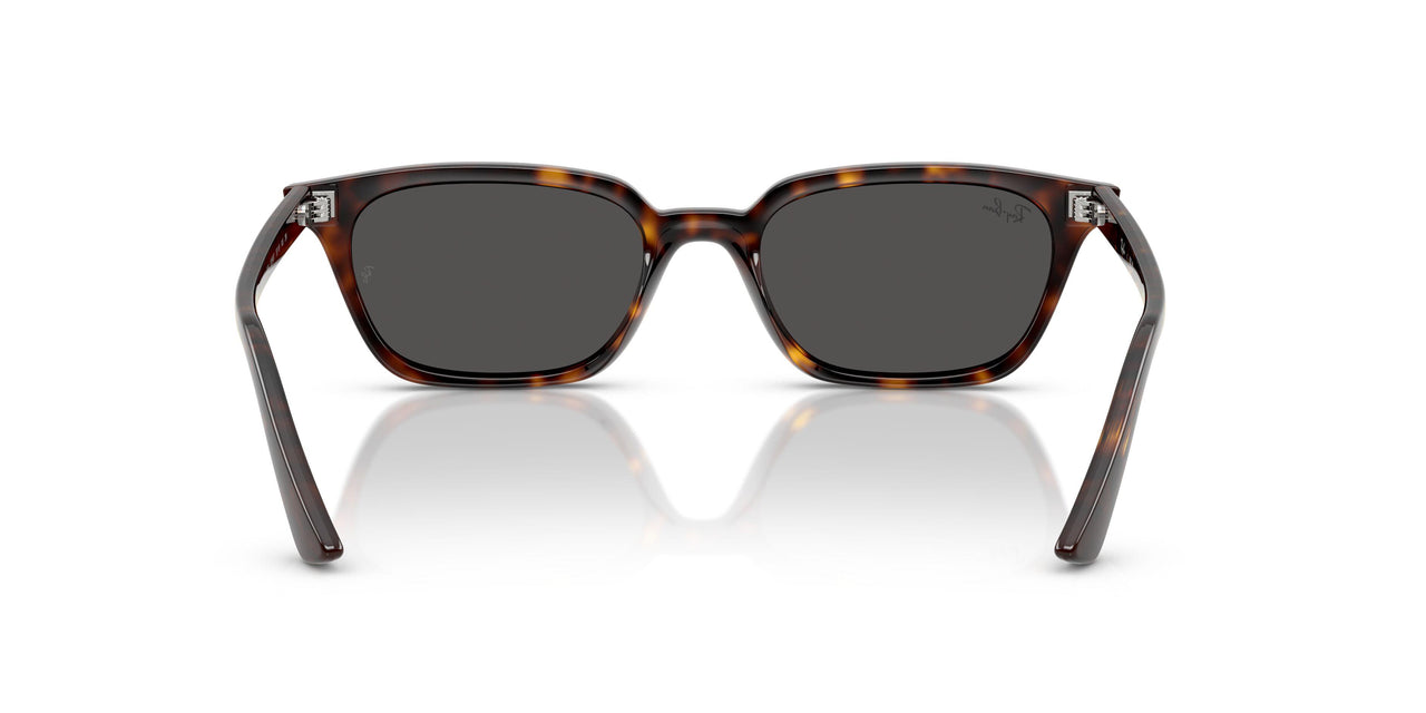 135987 - Tortoise - Dark Grey