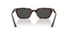 135987 - Tortoise - Dark Grey