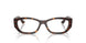 W656 - Brown