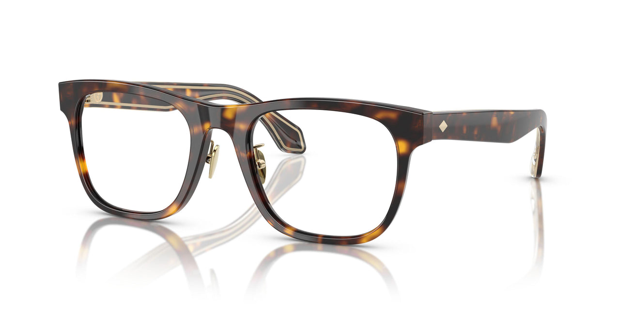 5026 - Tortoise