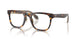 5026 - Tortoise