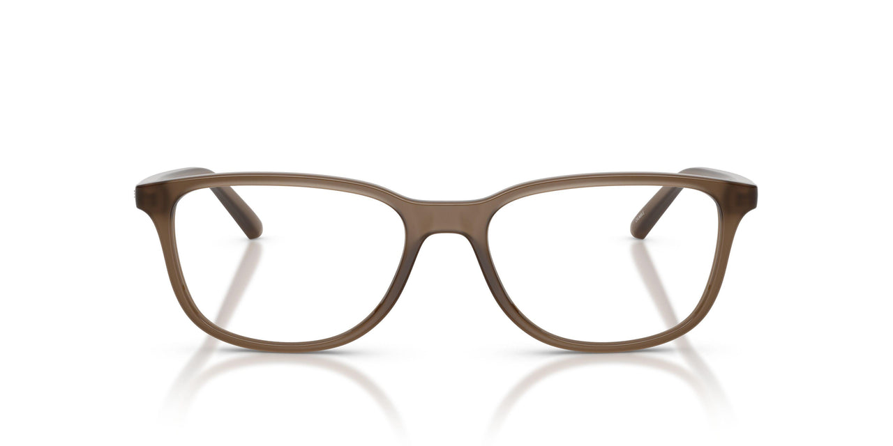 2997 - Brown