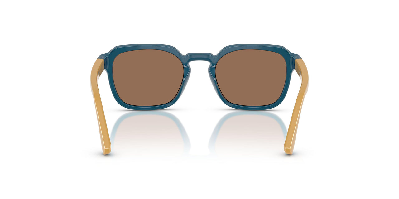 319073 - Blue - Dark Brown