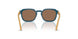 319073 - Blue - Dark Brown