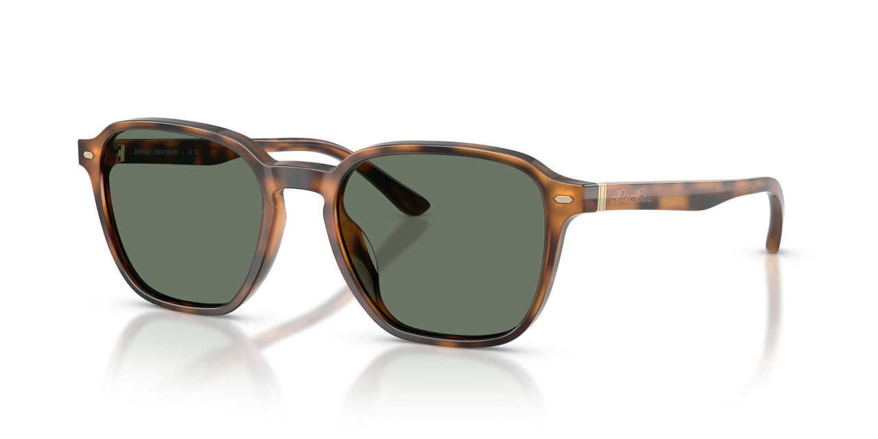 61613H - Tortoise - Green