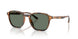 61613H - Tortoise - Green