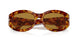 106/53 - Tortoise - Brown