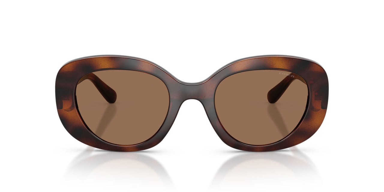 512073 - Tortoise - Brown Solid