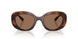 512073 - Tortoise - Brown Solid