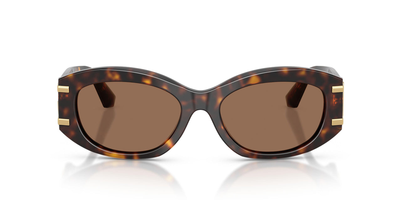 502/73 - Tortoise - Dark Brown