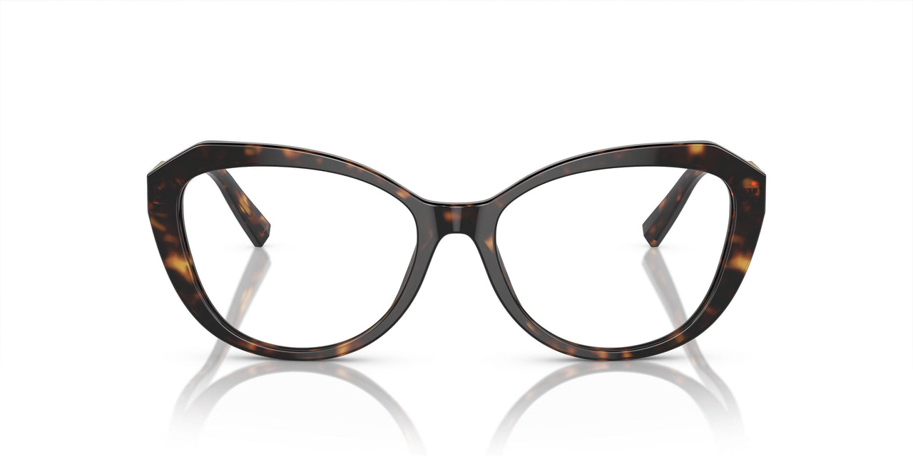 8015 - Tortoise