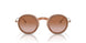335213 - Brown - Gradient Brown