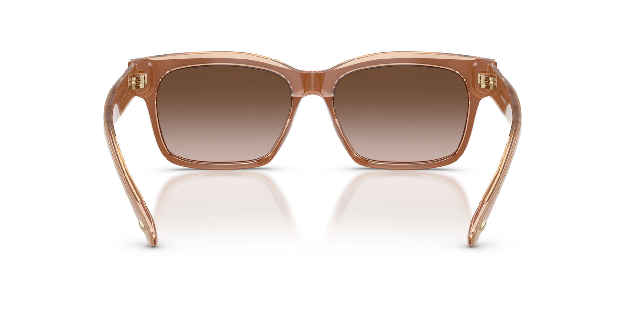 205913 - Brown - Brown Gradient