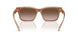 205913 - Brown - Brown Gradient