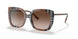 400513 - Brown - Gradient Brown