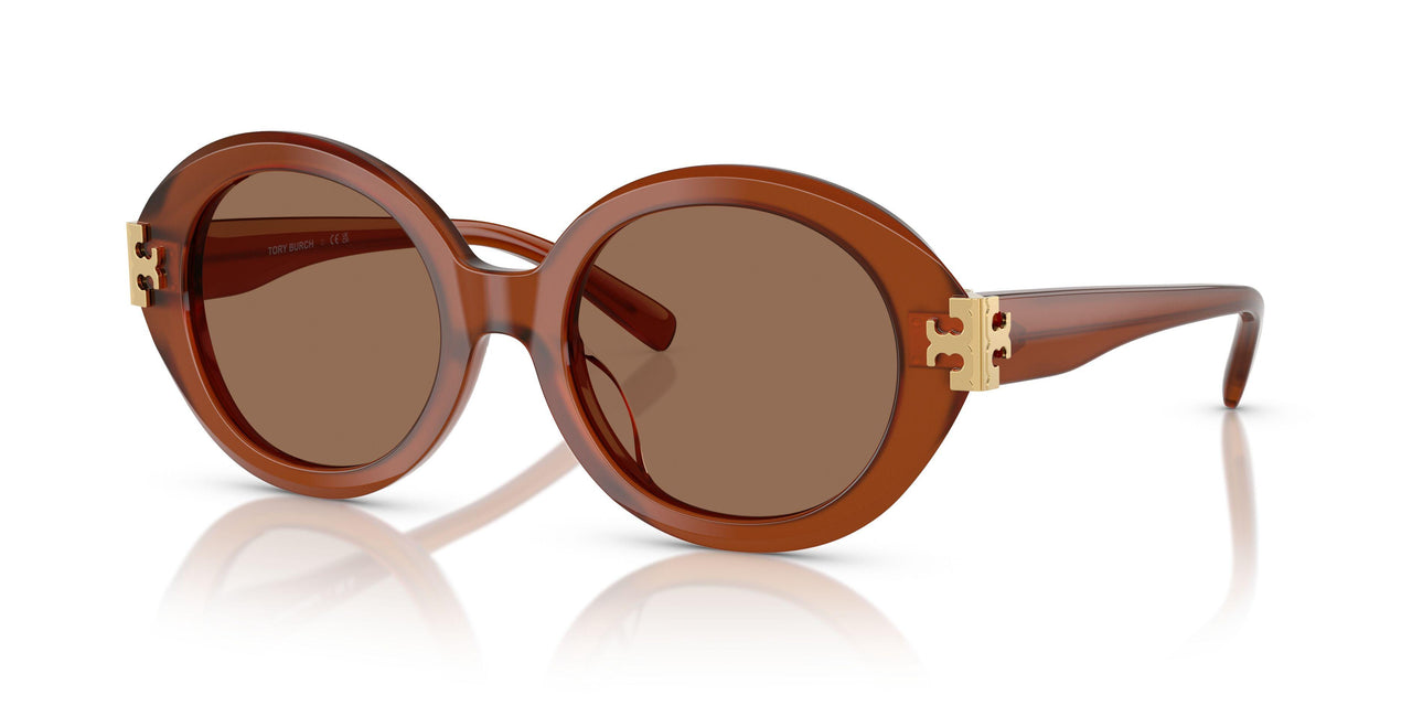 317673 - Brown - Brown