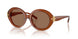 317673 - Brown - Brown