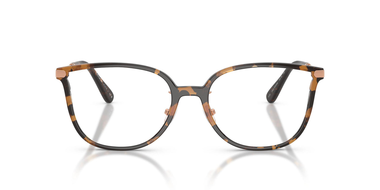 5120 - Tortoise