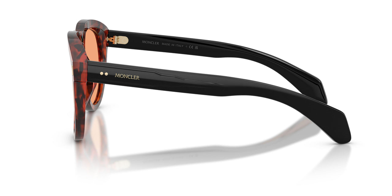 303674 - Tortoise - Solid Orange