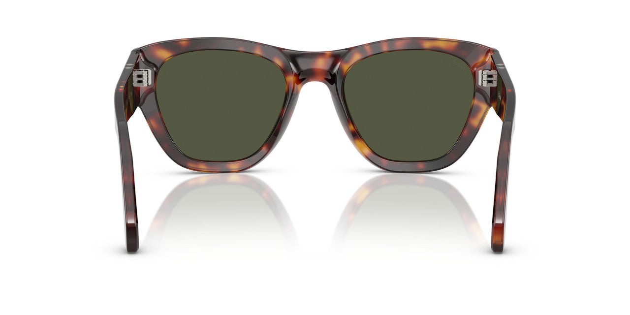 24/31 - Tortoise - Green