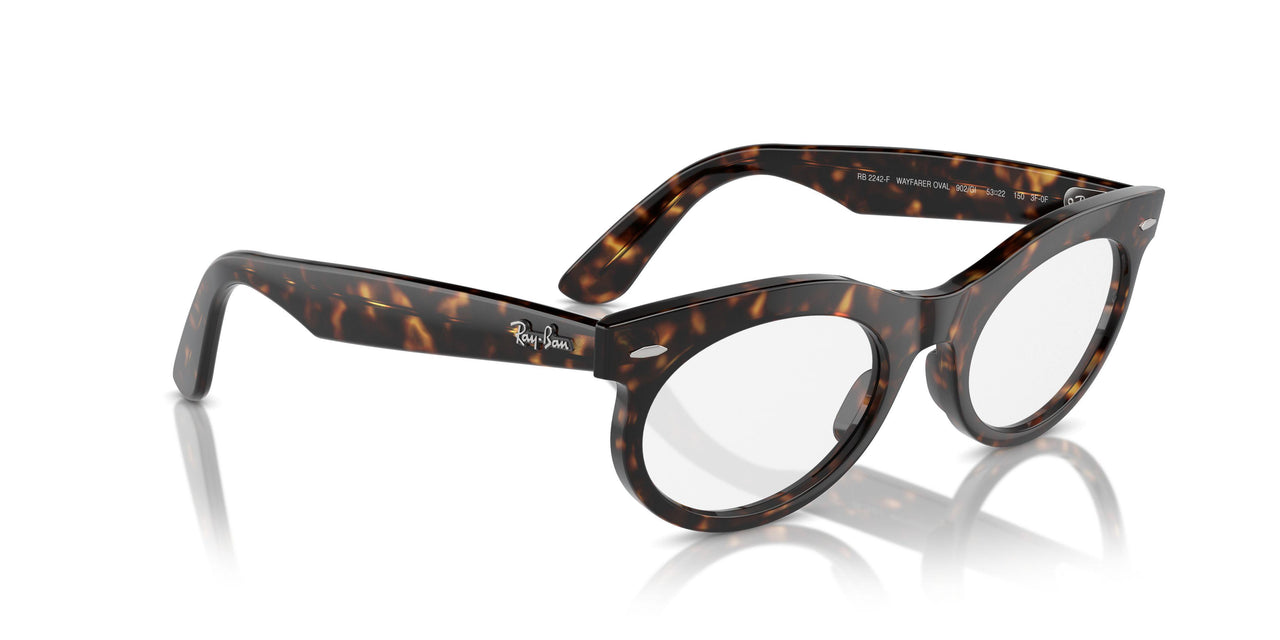 902/GI - Tortoise - Clear/brown
