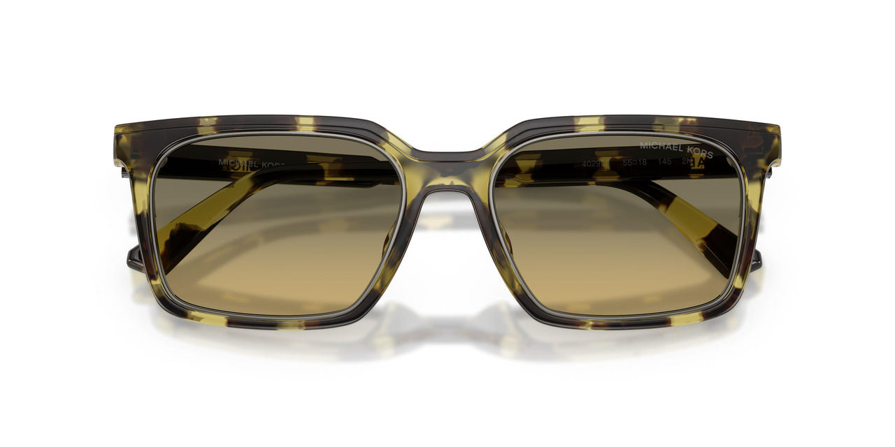 4029L0 - Green - Olive Gradient