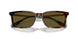613773 - Tortoise - Olive Green