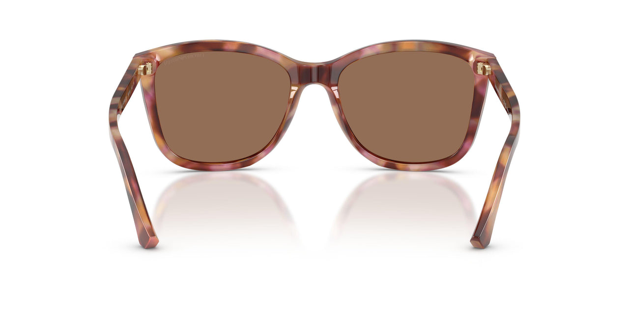 619673 - Red - Dark Brown