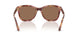 619673 - Red - Dark Brown