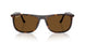 902/57 - Tortoise - Brown Polar