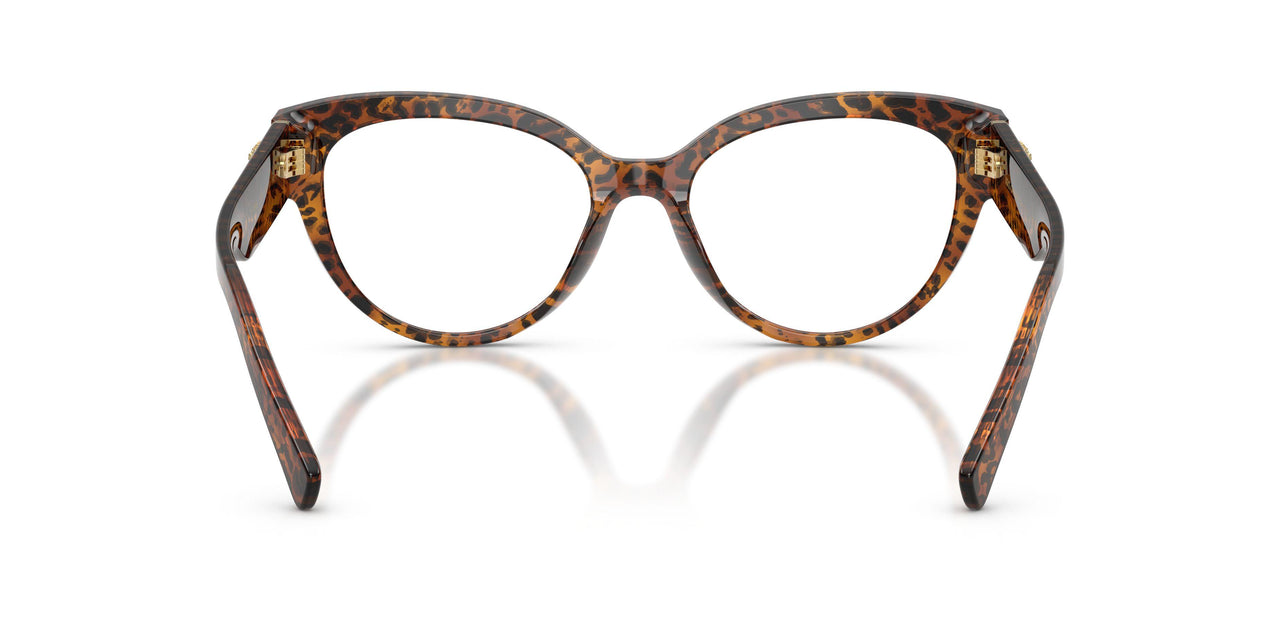 3470 - Brown