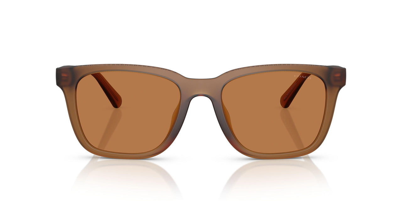 587673 - Yellow - Amber Solid
