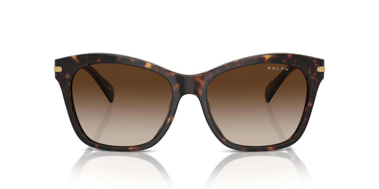 500313 - Brown - Gradient Brown