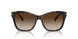 500313 - Brown - Gradient Brown