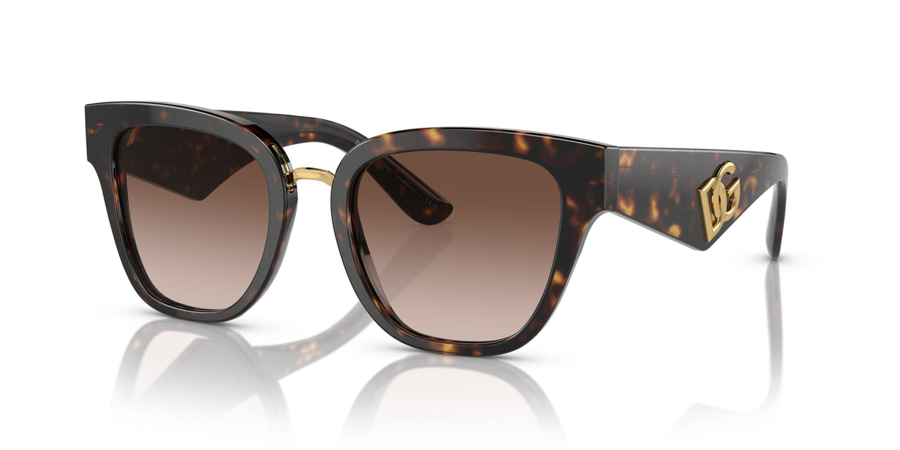 502/13 - Tortoise - Gradient Brown