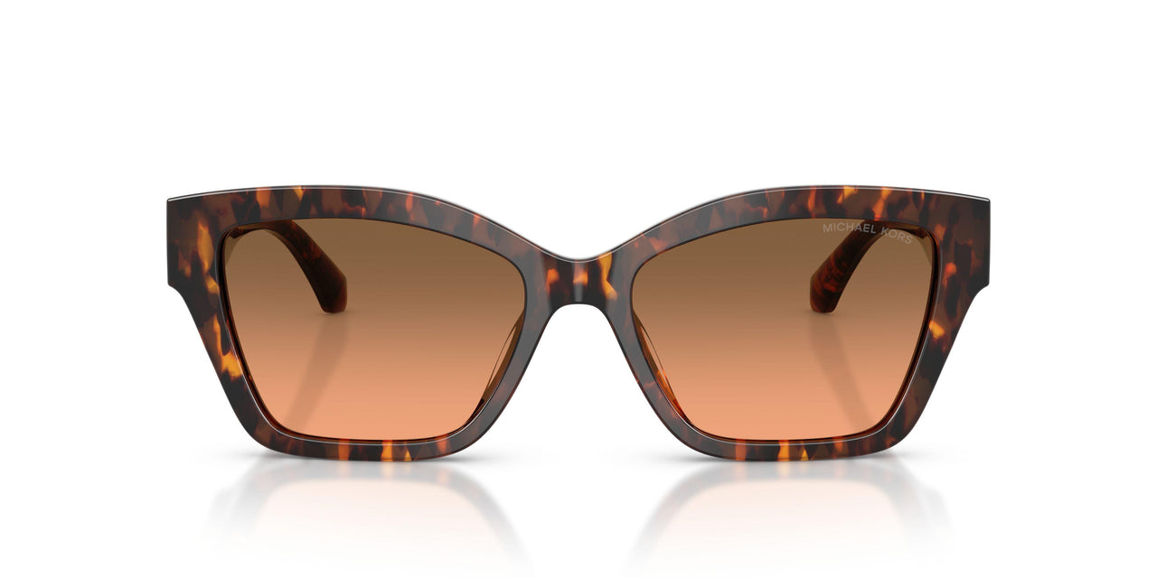 403118 - Tortoise - Grey Orange Gradient