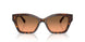 403118 - Tortoise - Grey Orange Gradient