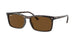 Ray-Ban 4435 Sunglasses