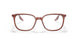 8171 - Brown